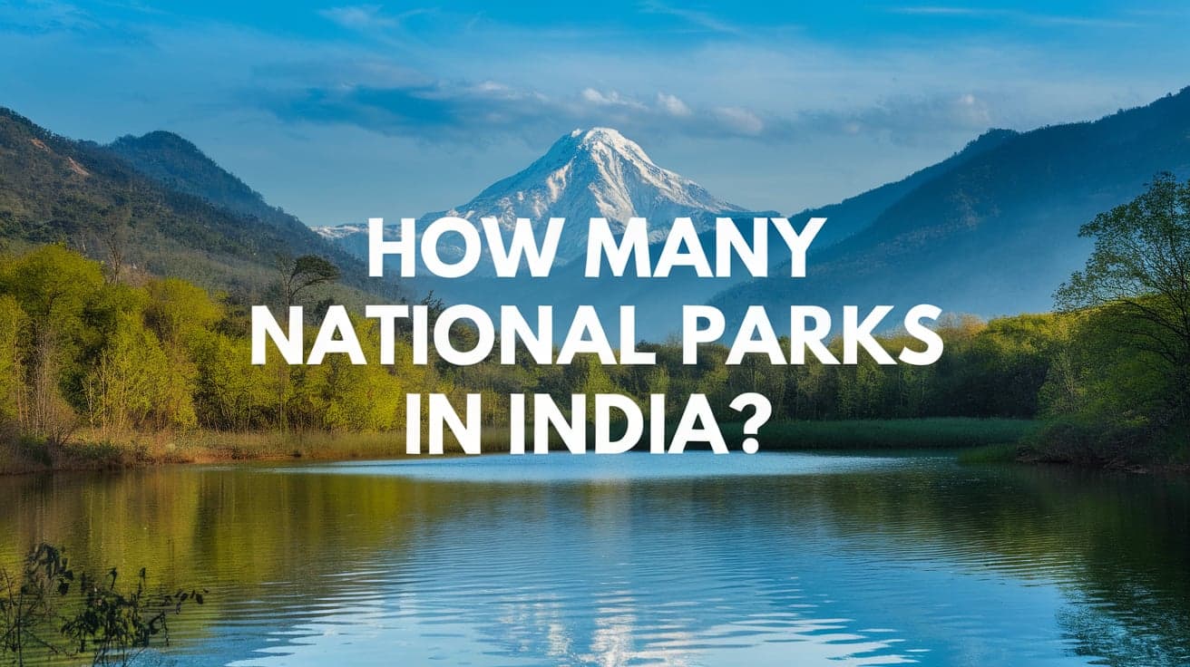 How Many National Parks Are There in India?