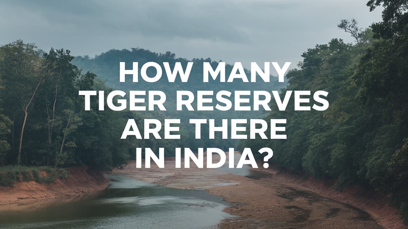 How Many Tiger Reserves Are There in India